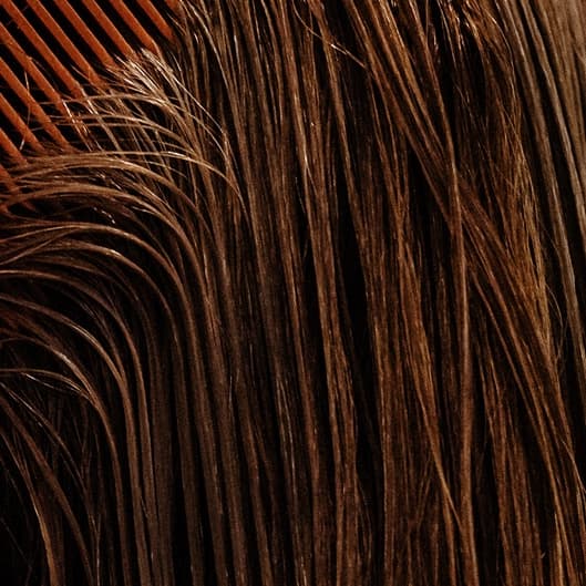 Scalp Care + Shampoo/Blow-Dry at Pink Fin Beauty Health & Cosmetics LLC in Southfield, MI